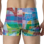 wild peach clothing | Randy Cumpacker boxer briefs | Back view