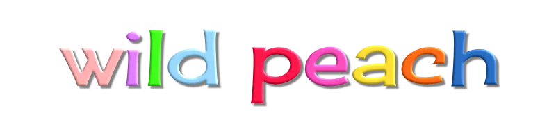 26 logo 800